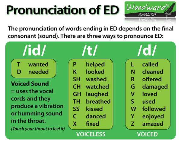 Quy tắc phát âm "ed" trong tiếng anh - EFC